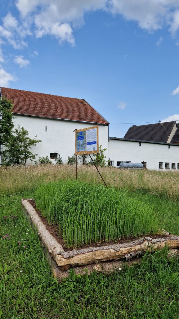 1 qm Lein bei Leinenlos