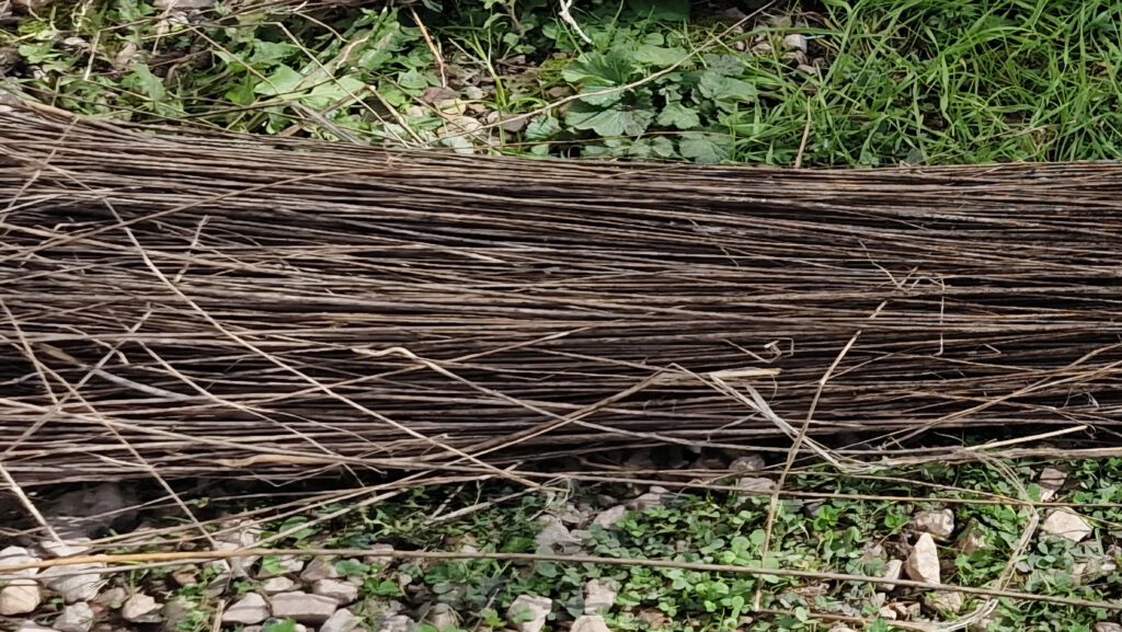 Flachs nach der Tauröste